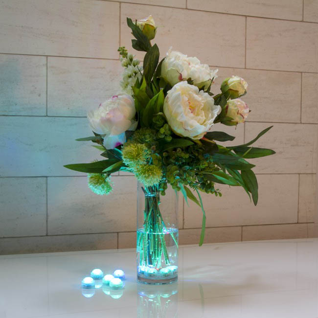 Submersible LED Tealight Pack10 Remote Control (3 LED)