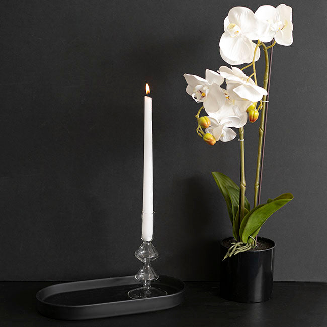 Glass Palma Dinner Taper Candle Holder (8x17.5cmH)