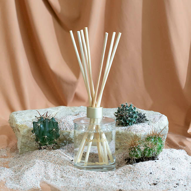 Premium Fragrance Diffuser Leisure Cactus Blossom 250ml